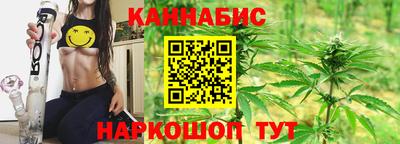 СК Шахты