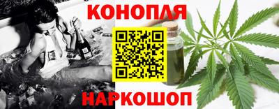 СК Шахты