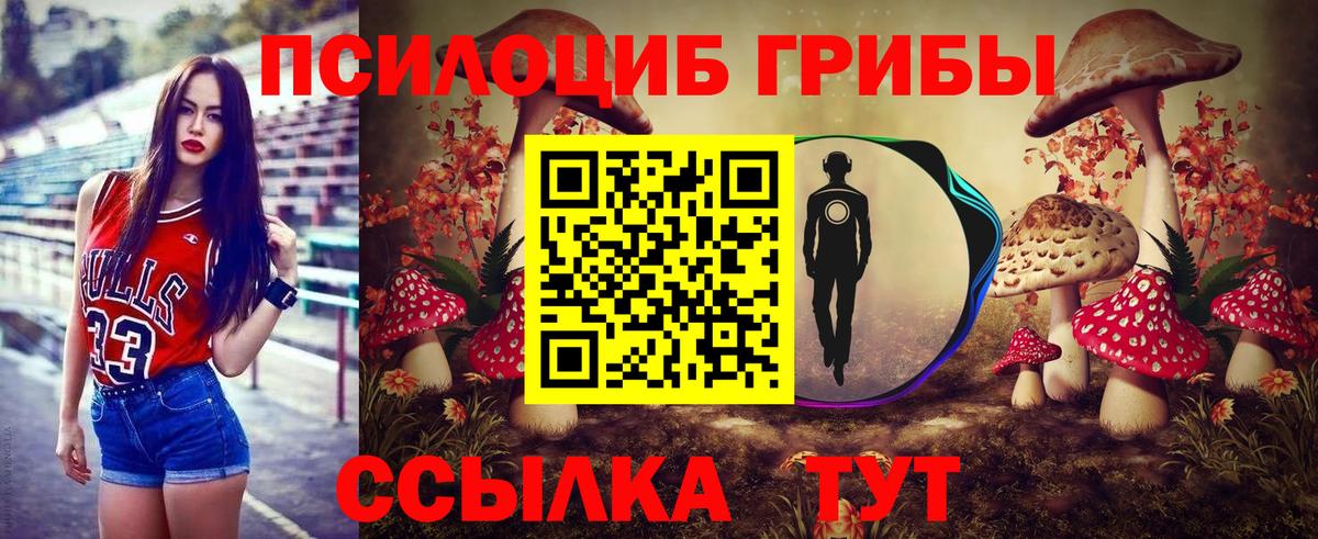 Псилоцибиновые грибы MAGIC MUSHROOMS Большой Камень