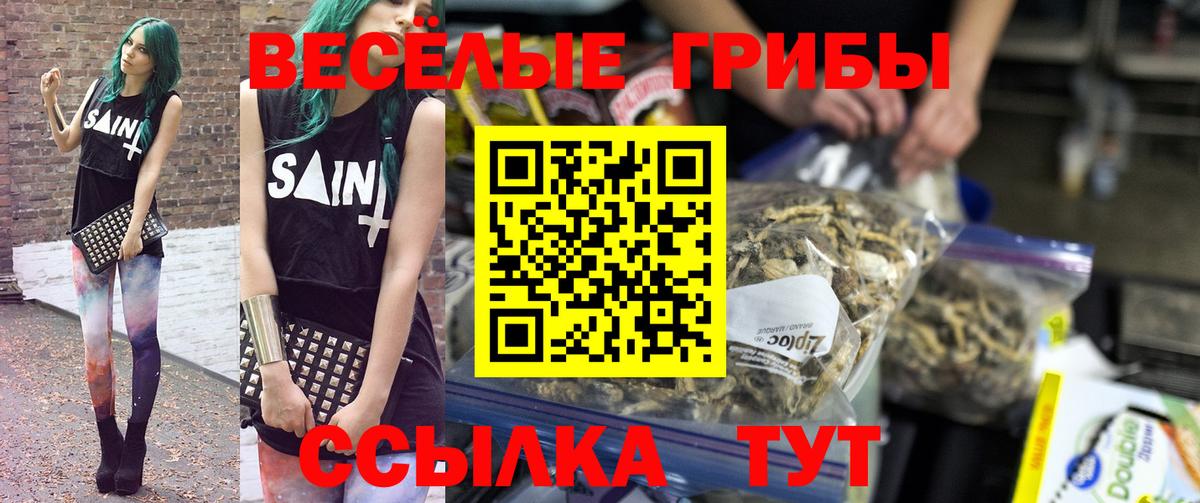 Псилоцибиновые грибы мухоморы  Вход с VPN  Большой Камень 